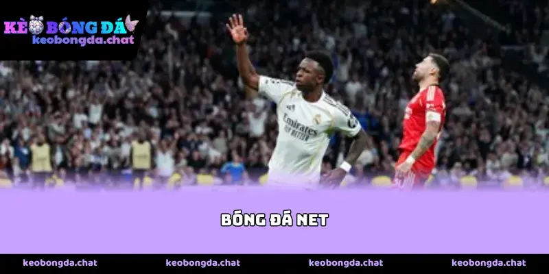 Sức hút đặc biệt của nền tảng Bóng Đá Net 