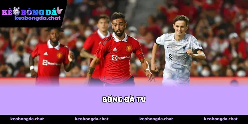 Tại sao xu hướng xem bóng đá tv trực tuyến lại bùng nổ mạnh mẽ?