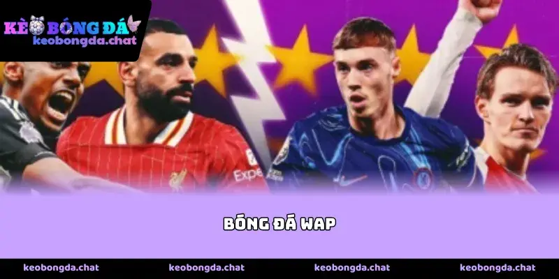 Những Tiện Ích Độc Đáo Khi Tra Cứu Tỉ Bóng Đá Wap