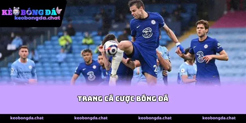 Các Tiêu Chí Đánh Giá Trang Cá Cược Bóng Đá Chất Lượng